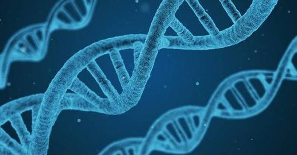 Biogen (BIIB, $239.92) shares fall, after Samsung BioLogics denies takeover report