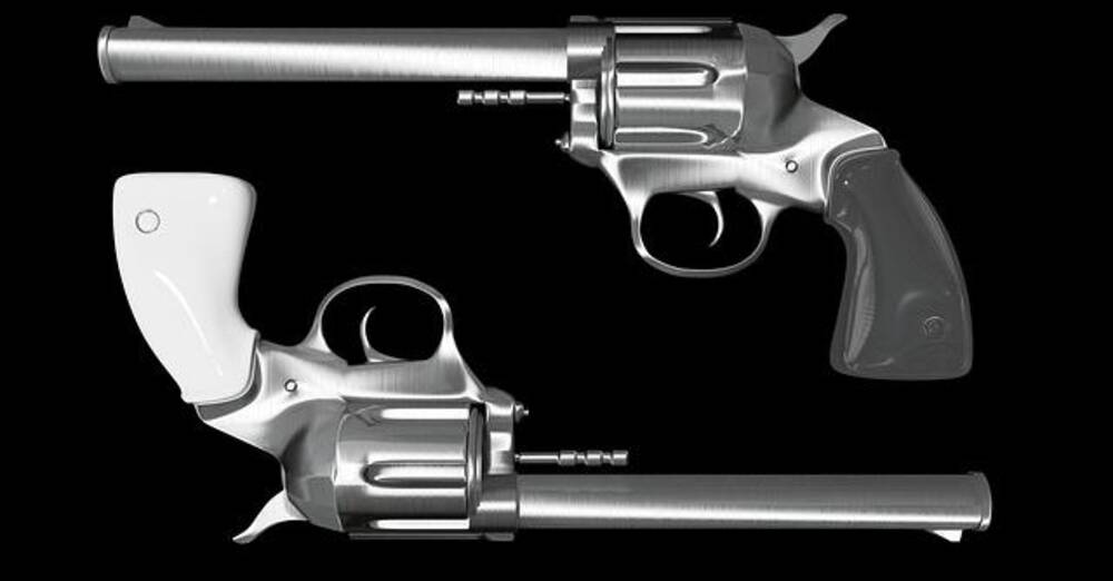 Smith & Wesson(SWBI, $24.88) misses revenue expectations, despite earnings beat