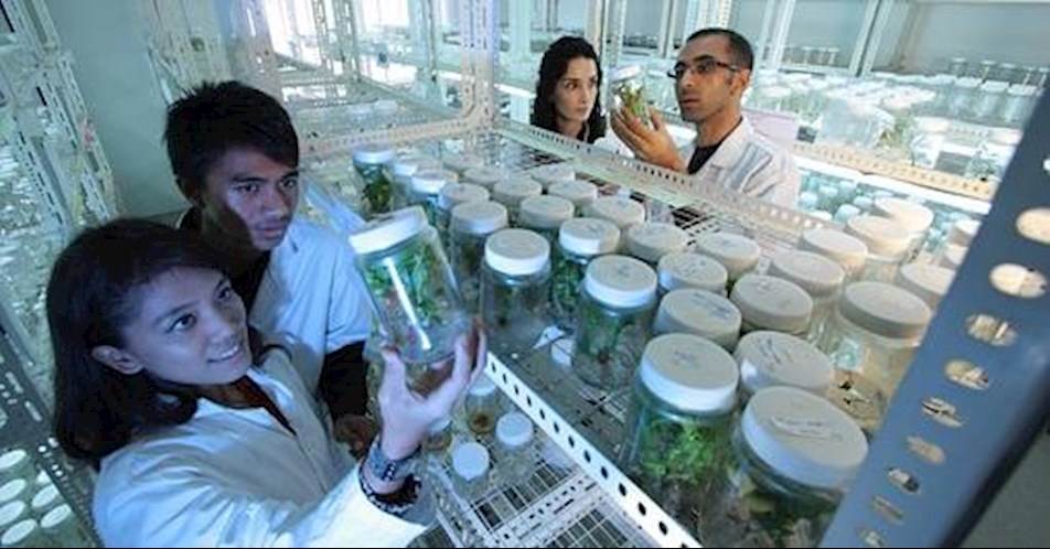 Precision Biosciences (DTIL) prepares for a $100 million IPO