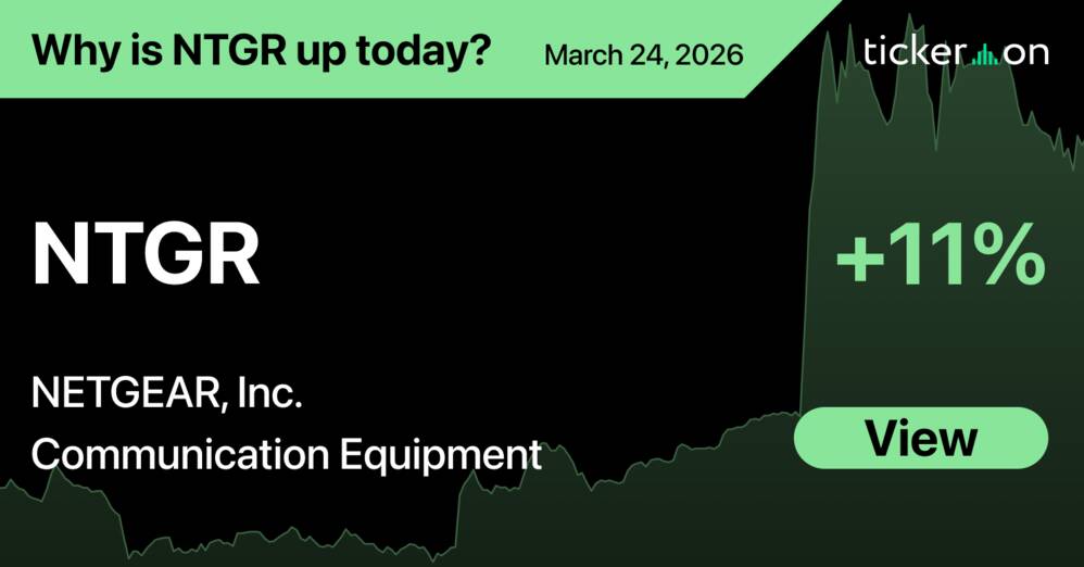 Why Is NETGEAR (NTGR) Stock Up +11% Today?